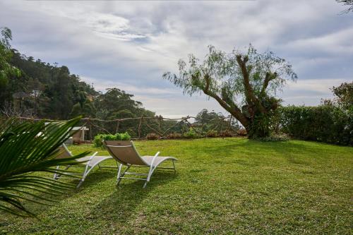 卡列塔Casas Maravilha by Madeira Sun Travel的两把椅子坐在一个树的院子内