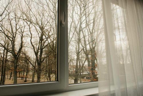 克雷廷加JAUKI STUDIJA KRETINGOS CENTRE的窗户享有外面树木的景致。