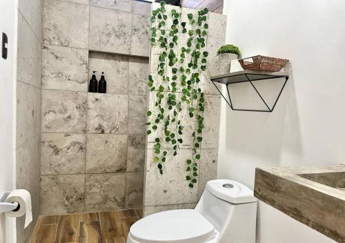 韦拉克鲁斯Departamento climatizado excelente ubicación的一间带卫生间和淋浴帘的浴室