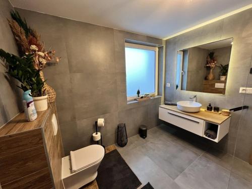 特尔斯泰纳Chata pod Starou Horou的一间带水槽、卫生间和镜子的浴室