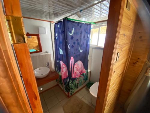 锡斯内斯港Hospedaje Alto Palena de Puerto Cisnes的一间带两个卫生间和淋浴帘的浴室