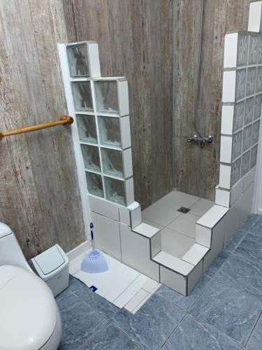 蓬塔阿雷纳斯MI HOGAR ES TUYO的带淋浴和卫生间的浴室。