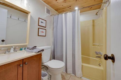 布什基尔Lakefront, Hot Tub, Indoor Pool, Ski/Tube, Firepit的浴室配有卫生间、盥洗盆和淋浴。