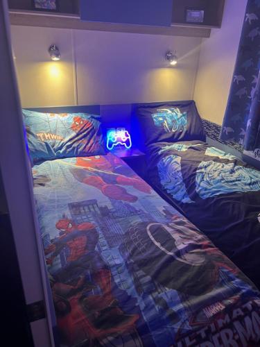 艾尔Cjs family caravans的一间卧室配有两张光线充足的床