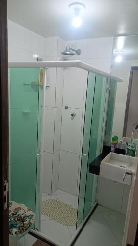 雅克南apartamento em Jacumã的一个带水槽的玻璃淋浴间