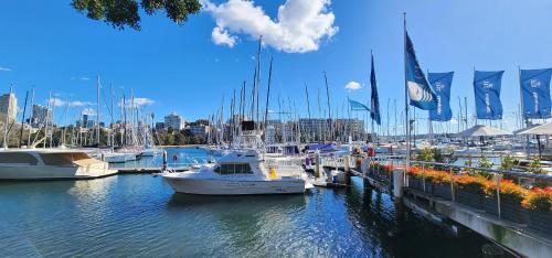 悉尼Contemporary Harbourside Apartment的停靠在码头的一群船