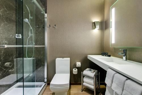 芝加哥芝加哥市中心万豪AC酒店 的浴室配有卫生间、盥洗盆和淋浴。