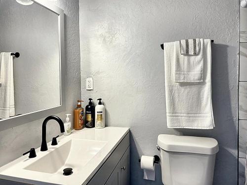 俄克拉何马城Spring Break Retreat Studio Rainfall Shower的一间带水槽、卫生间和镜子的浴室