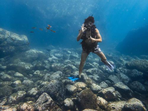 TopolobampoSealion Dive Center的一位拍摄珊瑚礁照片的女人