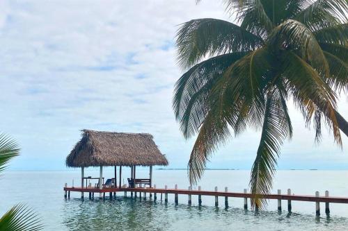 珀拉什奇亚The Tiki Toucan Tropical Suite + Private Pool的水中有一个带有棕榈树小屋的码头