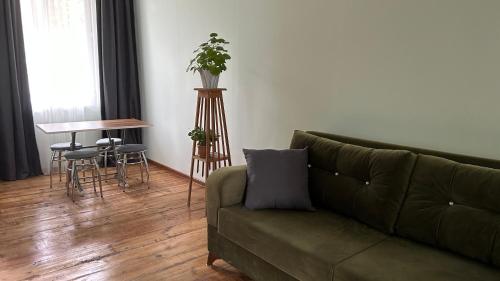 马尔特维利Green bunny guesthouse的客厅配有沙发和植物桌子
