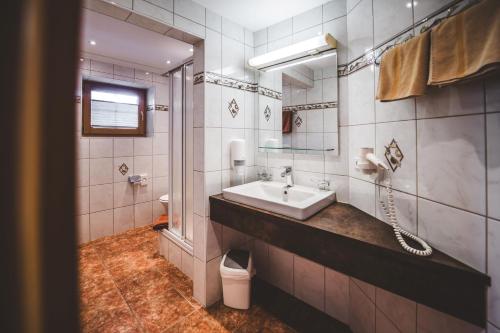舍恩伯格松呐黒木膳食公寓酒店的一间带水槽和镜子的浴室