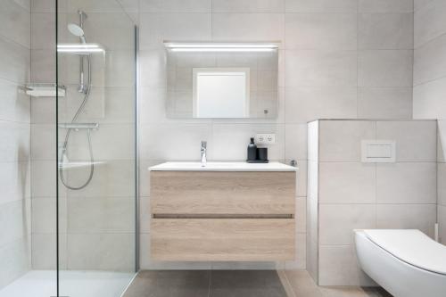 阿尔泽特河畔埃施Beautiful Penthouse close to University Esch的白色的浴室设有水槽和淋浴。