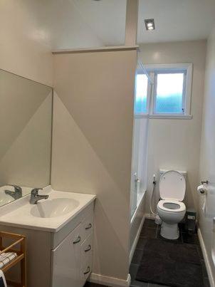 惠灵顿Wellington single bedroom的一间带水槽和卫生间的浴室以及窗户。
