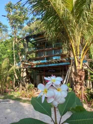 Sungaipisang苏门答腊生态小屋的前面有一堆鲜花的建筑
