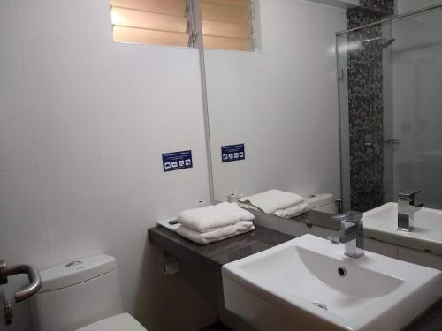 拉杰果德HOTEL THE SENTOSA的一间带水槽、卫生间和镜子的浴室