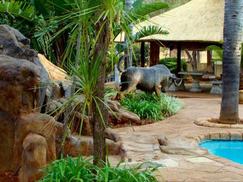 勒斯滕堡Kettle Guest Lodge Rustenburg的象站在一个花园的游泳池旁