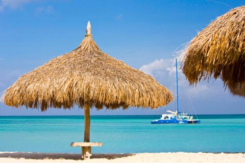 棕榈滩阿鲁巴岛凯悦度假酒店&赌场的海滩上的草伞,水中还有一条船