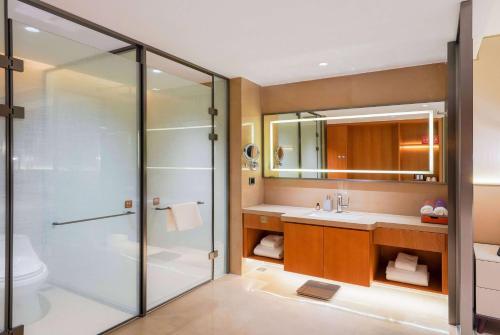 新余新余华侨豪生大酒店的带淋浴、盥洗盆和卫生间的浴室
