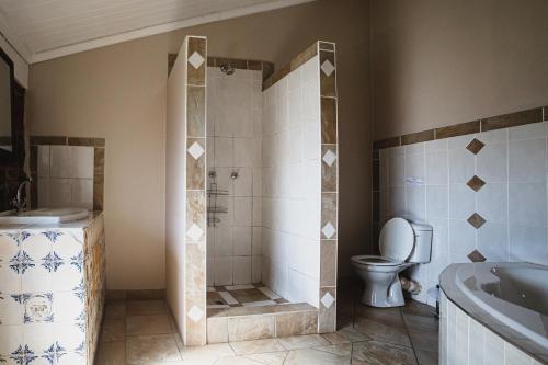 香槟谷Ardmore Guest Farm的带淋浴、卫生间和盥洗盆的浴室