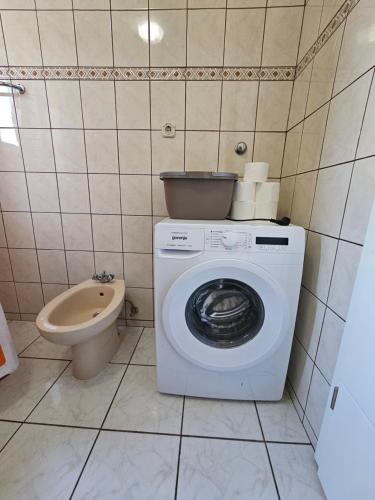 斯莫利亚纳茨米里亚娜宾馆的一间带洗衣机和卫生间的浴室
