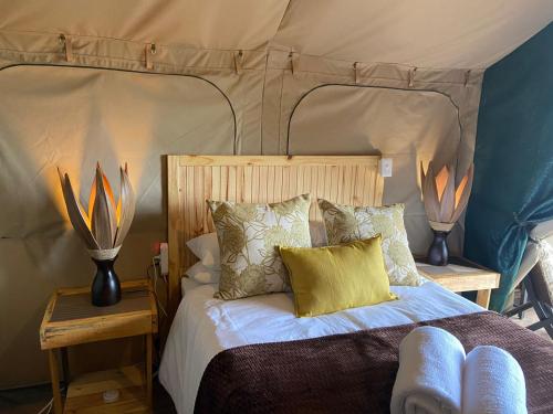 乔治Down-to-Earth Luxury Tented Accommodation的帐篷内一间卧室,配有一张床