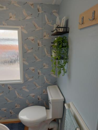 惠特利湾Betty's Place的一间带卫生间的浴室和鱼壁纸