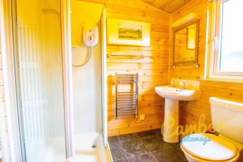 BrooklandRainbow Petty - Pine lodge - Kent countryside的带淋浴、卫生间和盥洗盆的浴室