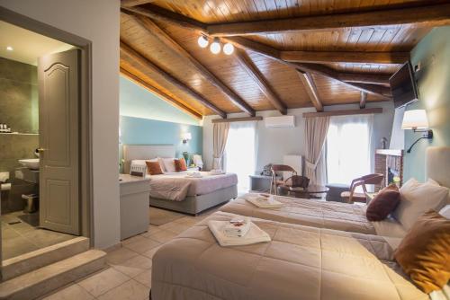 特尔斐巴纳索斯德尔菲酒店的客厅配有沙发和1张床