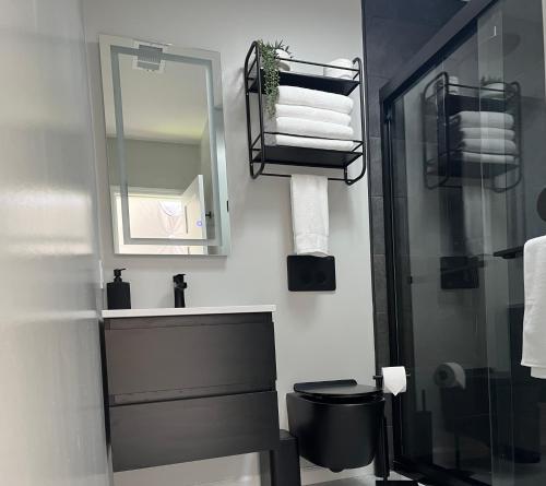 蒙蒂塞洛Unique Escapes - Modern Luxury Geodome的一间带水槽、卫生间和镜子的浴室