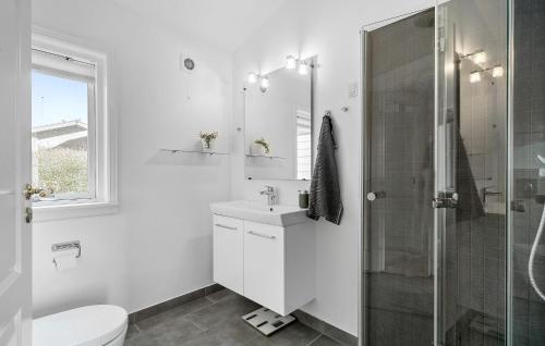 尼堡Nice Home In Nyborg With Kitchen的白色的浴室设有水槽和淋浴。