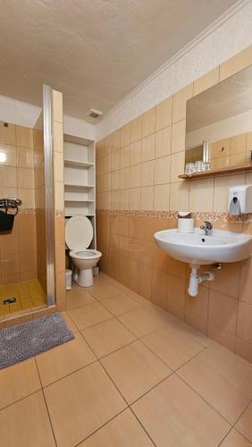 布热茨拉夫佩西恩鲁丹塔酒店的一间带水槽和卫生间的浴室