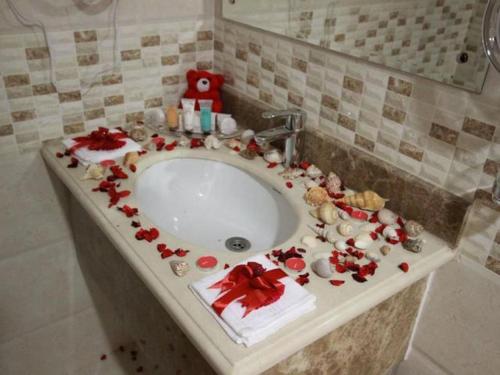 哈费尔巴廷بنان فال للشقق المخدومة的浴室水槽上装饰着圣诞花