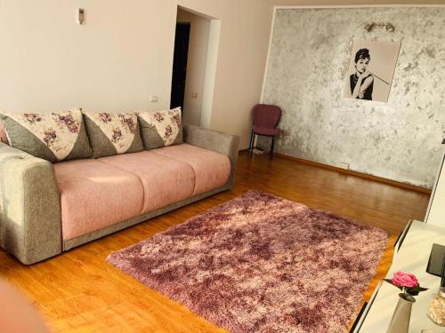 布加勒斯特CozinessApart的带沙发和地毯的客厅