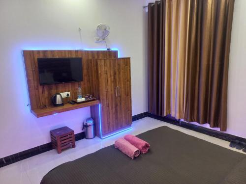 阿格拉Taj Street Hostel的一间带电视和地毯的客厅