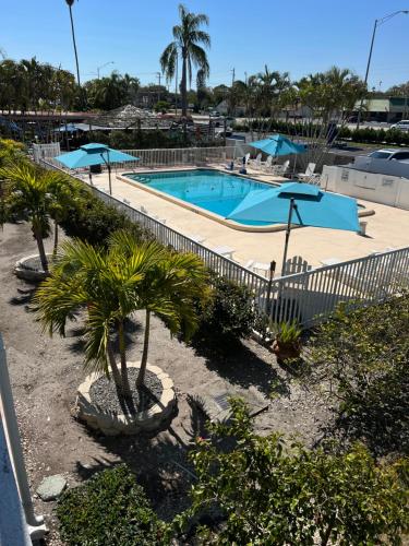 萨拉索塔萨拉索塔灯笼酒店&套房的一座棕榈树和遮阳伞的游泳池