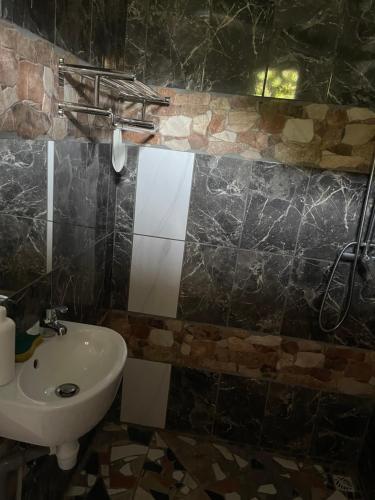 马罗尼河畔圣洛朗Ouest Nelis Lodge的一间带水槽、卫生间和镜子的浴室