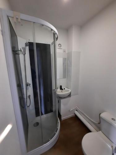 沃苏勒Belle Suite privative centre vesoul的带淋浴、卫生间和盥洗盆的浴室