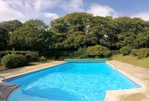 索尔兹伯里The Old Stables - Self Contained Cottage - Hot Tub and Pool的一个种有树木的大型蓝色游泳池