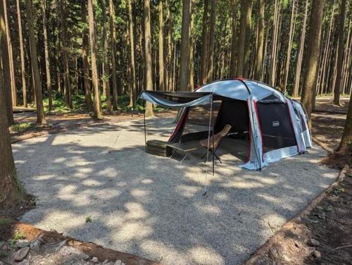 涩川市Akagi Tokiwa Forest Campsite - Vacation STAY 84739v的森林中间的帐篷