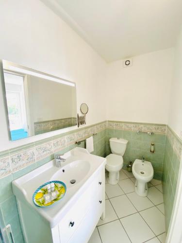 阿纳卡普里Casa Pippo 1的一间带水槽、卫生间和镜子的浴室