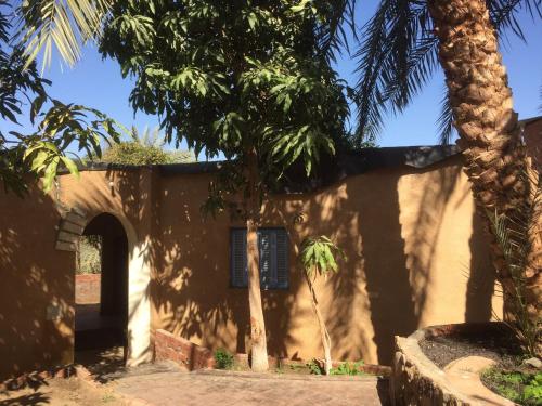 BawatiNew Oasis的前面有棕榈树的房子