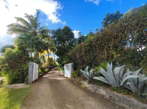 圣安尼Appartement - Résidence piscine La Villa Bèl的一条土路,上面有棕榈树和白色的大门