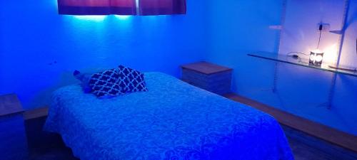 San RoqueDpto del Sur的蓝色客房 - 带一张蓝色床和四柱床
