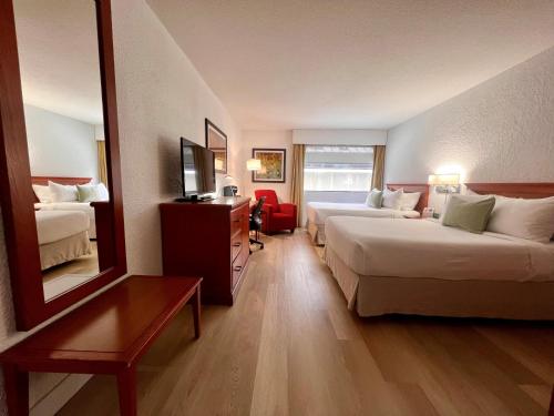 蒙特利尔蒙特利尔大学酒店的酒店客房,设有两张床和镜子