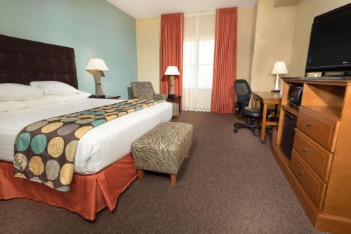 圣安东尼奥圣安东尼奥北斯通奥克德鲁广场酒店的酒店客房设有一张大床和一张书桌。