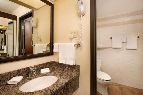 斯普林菲尔德斯普林菲尔德德鲁酒店的一间带水槽、卫生间和镜子的浴室