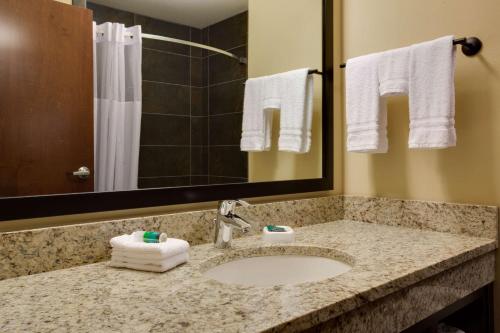 匹兹堡匹兹堡市中心德鲁里广场酒店的浴室配有盥洗盆、镜子和毛巾
