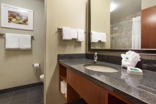 印第安纳波利斯印第安纳波利斯卡梅尔德鲁酒店的一间带水槽、镜子和卫生间的浴室