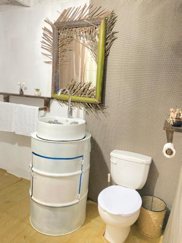 圣斐利-银港Villa Alpina的一间带卫生间、水槽和镜子的浴室